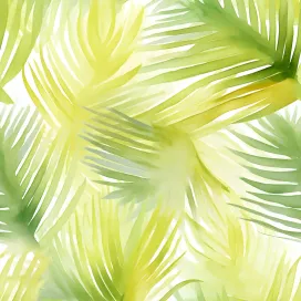 Summer Shape 361